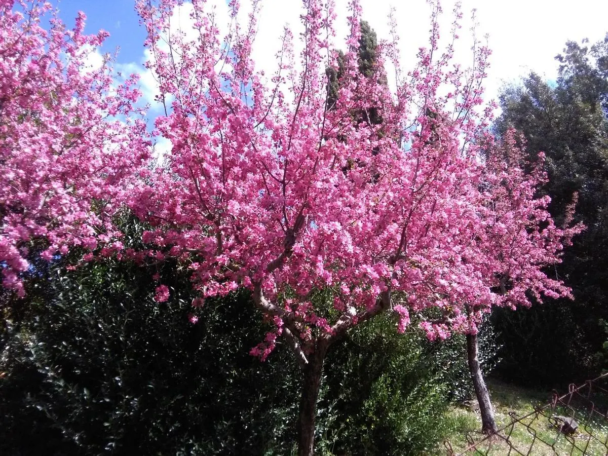 끼안챠노테르메 La Vittoria 10 - La Soglia Della Val D'Orcia B&B