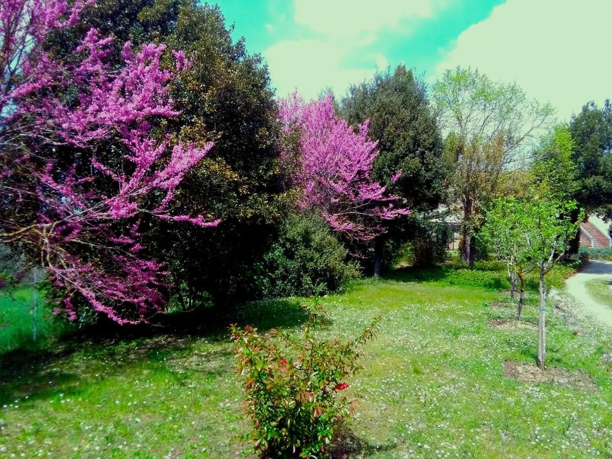 끼안챠노테르메 La Vittoria 10 - La Soglia Della Val D'Orcia B&B 2*,  이탈리아