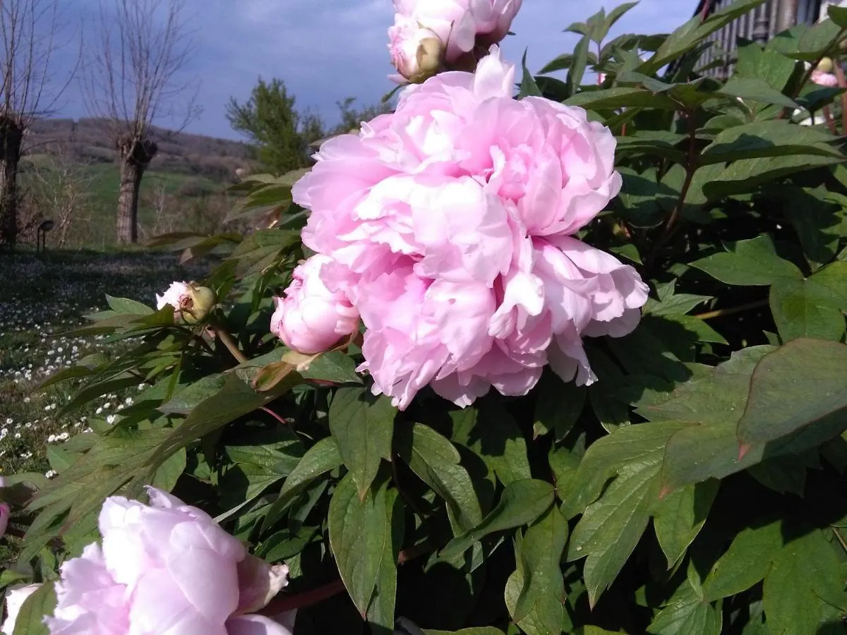 Bed and Breakfast La Vittoria 10 – La Soglia della Val d’Orcia Chianciano Terme Bed & Breakfast