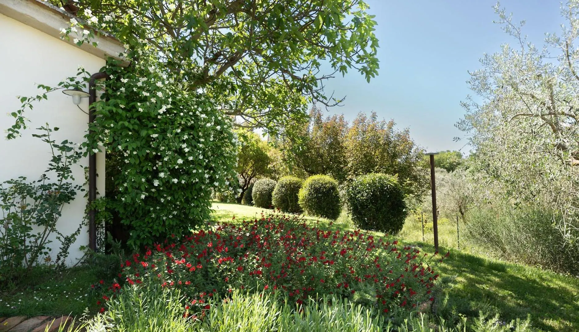 La Vittoria 10 - La Soglia Della Val D'Orcia Bed & Breakfast Chianciano Terme