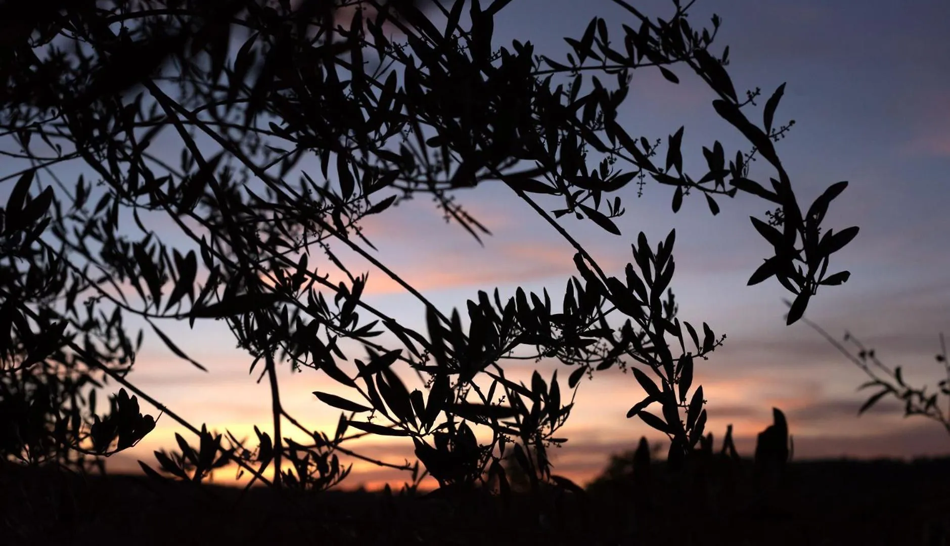 Bed and Breakfast La Vittoria 10 – La Soglia della Val d’Orcia Chianciano Terme Bed & Breakfast