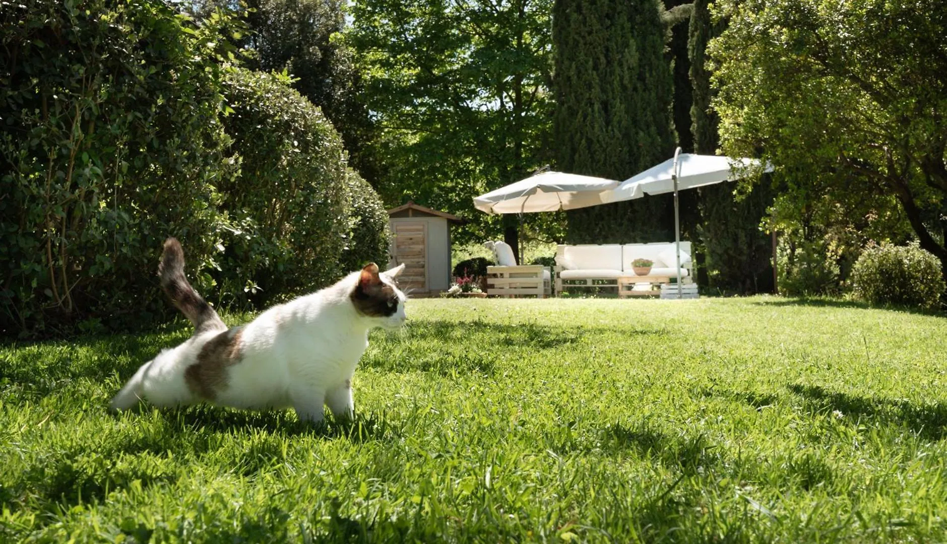 La Vittoria 10 - La Soglia Della Val D'Orcia Bed & Breakfast Chianciano Terme 2*,  Italy